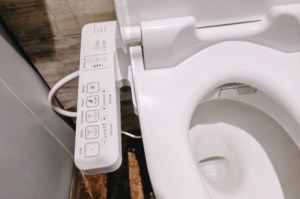 The Bidet Boom - once a luxury item, now becoming a standard