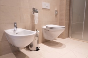 The Bidet Boom - once a luxury item, now becoming a standard